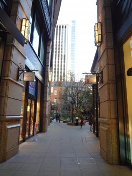 ���X�̊Ŕ��I�V����