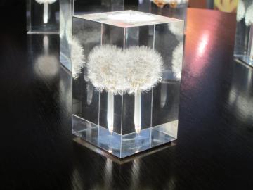 IuWFۂ