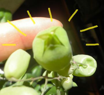 \ɊڂłĂ