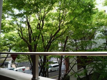 �P���L����