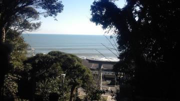 ����O�_��