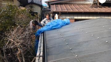 �ۂ���E�g�r�[