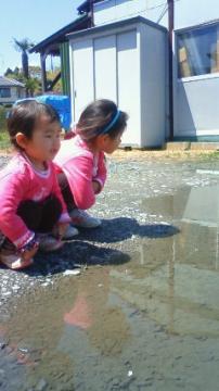 �A�����{