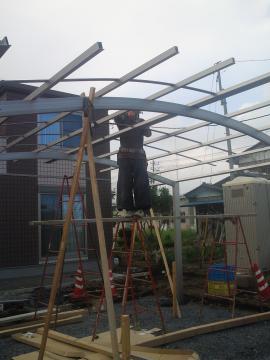 �J�[�|�[�g���t����