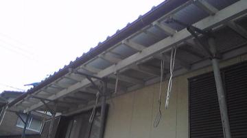 �������x����