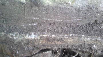 ���肦�Ȃ����݂̃x�[�X