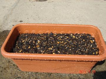 �t�E�Z���J�Y��