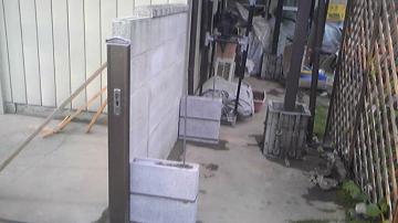 �⋭�o�b�g���X�r��