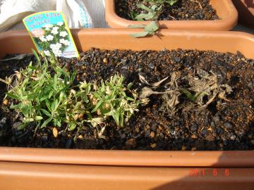 �͂�Ă��܂�