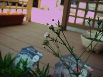 �J�X�~�\�E�@�s���N