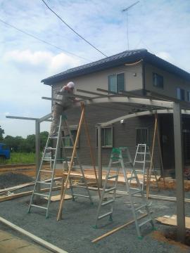 �i�x����J�[�|�[�g���t����