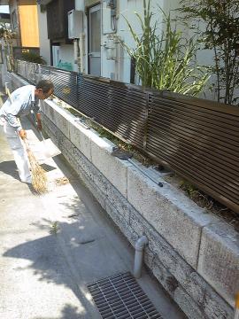 �t�F���X��t����