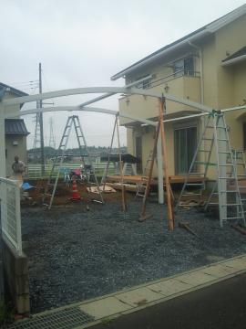 �J�[�|�[�g�g����