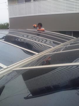 �J�[�|�[�g�g����