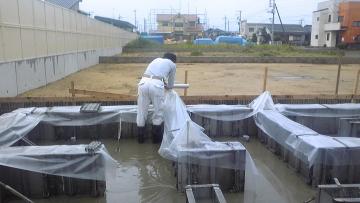 �ۂ���ǂ������{��