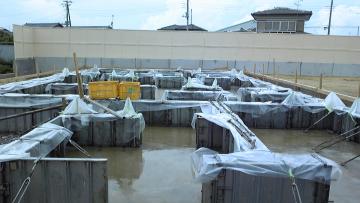 �Ő݊����{��