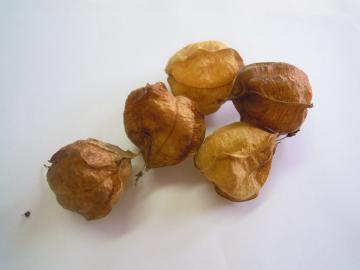 �t�E�Z���J�Y��