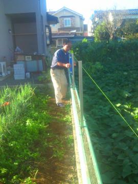 �i�x����t�F���X����t��