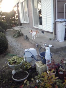 �~���e�B�`