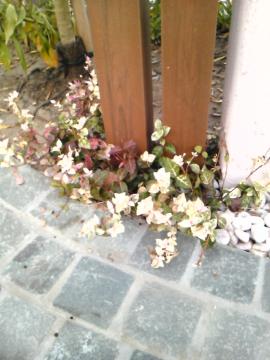 ���������A���B