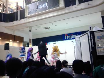 �v���L���A�Ό���