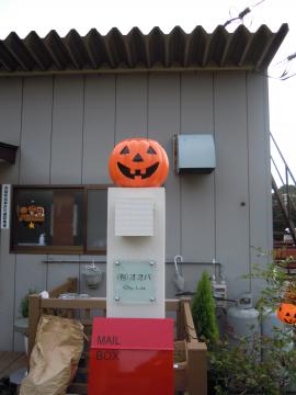 ���ڂ���