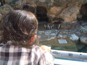 �y���M��