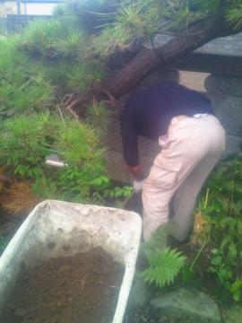 �Ђ����Ȃ��s�n�l�@�i�x����@�@�풆