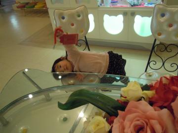 �L�e�B�����̉�