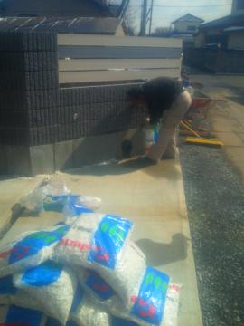 �����ʎs�@�l�l�@�@���ύ����~����