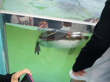 �y���M��