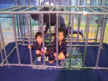 �T���̐����p�B