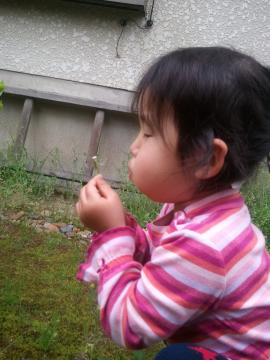 �^���|�|�̖Ȗ�