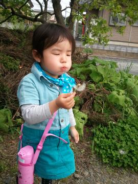 �^���|�|�̖Ȗ�