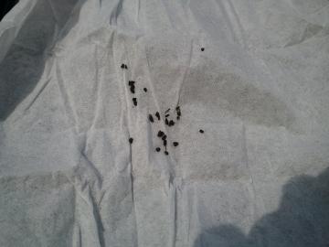 �j�`�j�`�\�E�̎�