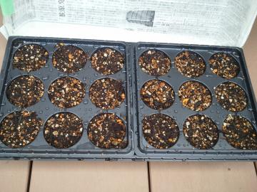 ��܂�����