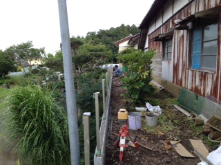 �z�b�V���� �����t����