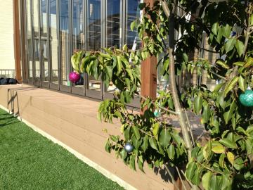 �f�G�ȏ���