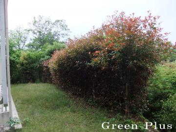 �����@�O�\�@����@���t�H�[��