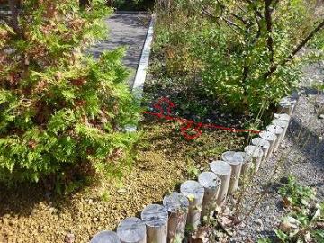 �h��������r