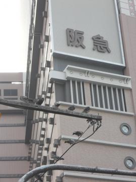 ���w�O�̃n�g