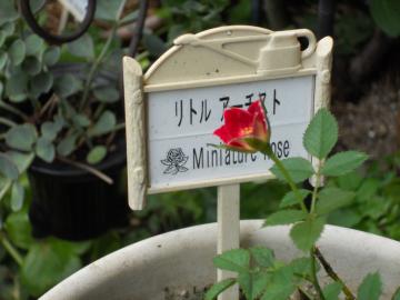 ���g���A�[�`�X�g