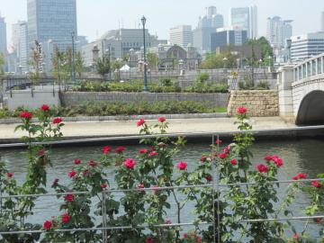 �o�������璆�������Ղ�