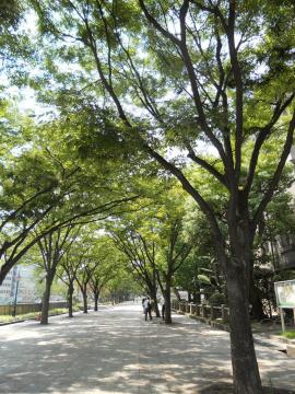 ����t�ߕ��ؓ�