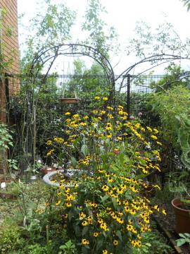 �����T�[���̃A�[�`