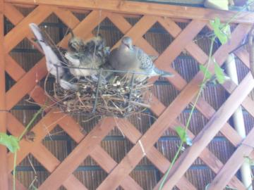 �n�g�̃A�b�v