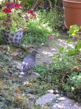 ���H�̃p����H�ׂĂ���e�o�g