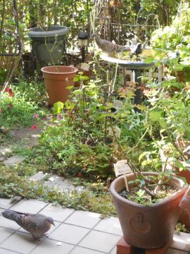 ���H�̂��˂���