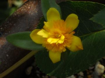 ���d�炫�|�[���`���J