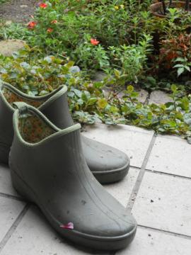 �K�[�f���V���[�Y